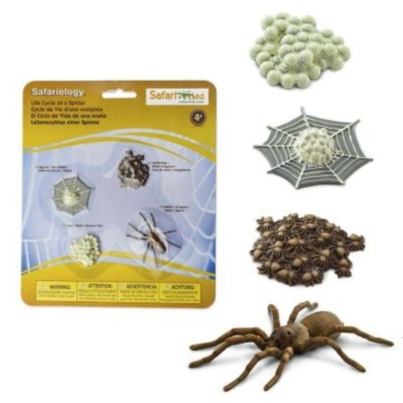 Safari Ltd. Other - Life Cycle of a Spider Set